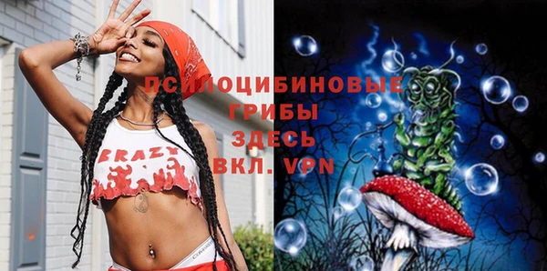 тгк Аркадак