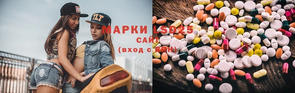 индика Алзамай
