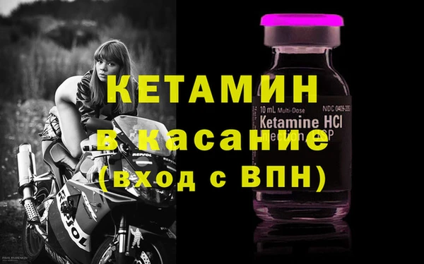 индика Алзамай