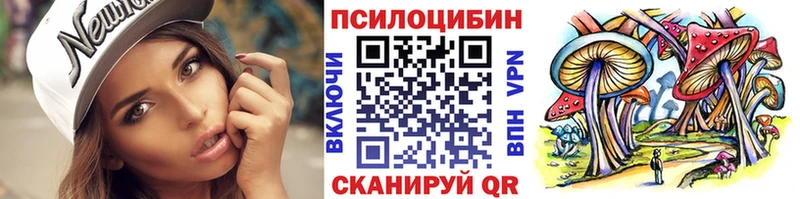 продажа наркотиков  МЕГА онион  Галлюциногенные грибы Magic Shrooms  Димитровград 